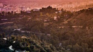 Movie Colony & Old Las Palmas • Mid-Century Modern Homes for Sale • Hollywood Realtors & Real Estate