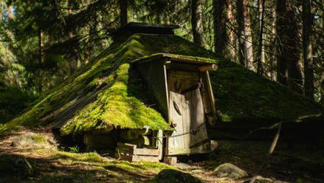 Springfield Muni’s “Shrek the Musical” Delights Audiences