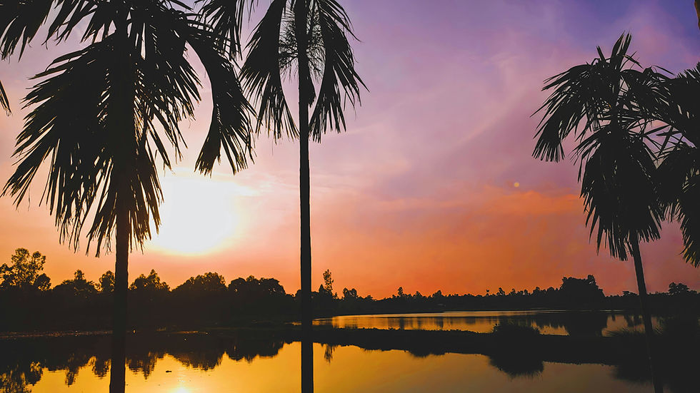 Morning light at the water's edge
