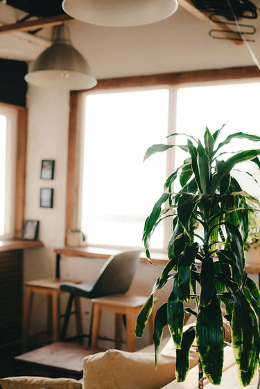 Image by Ellen Volkova