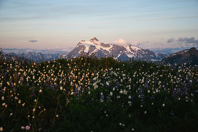 Image by Jamie Pilgrim