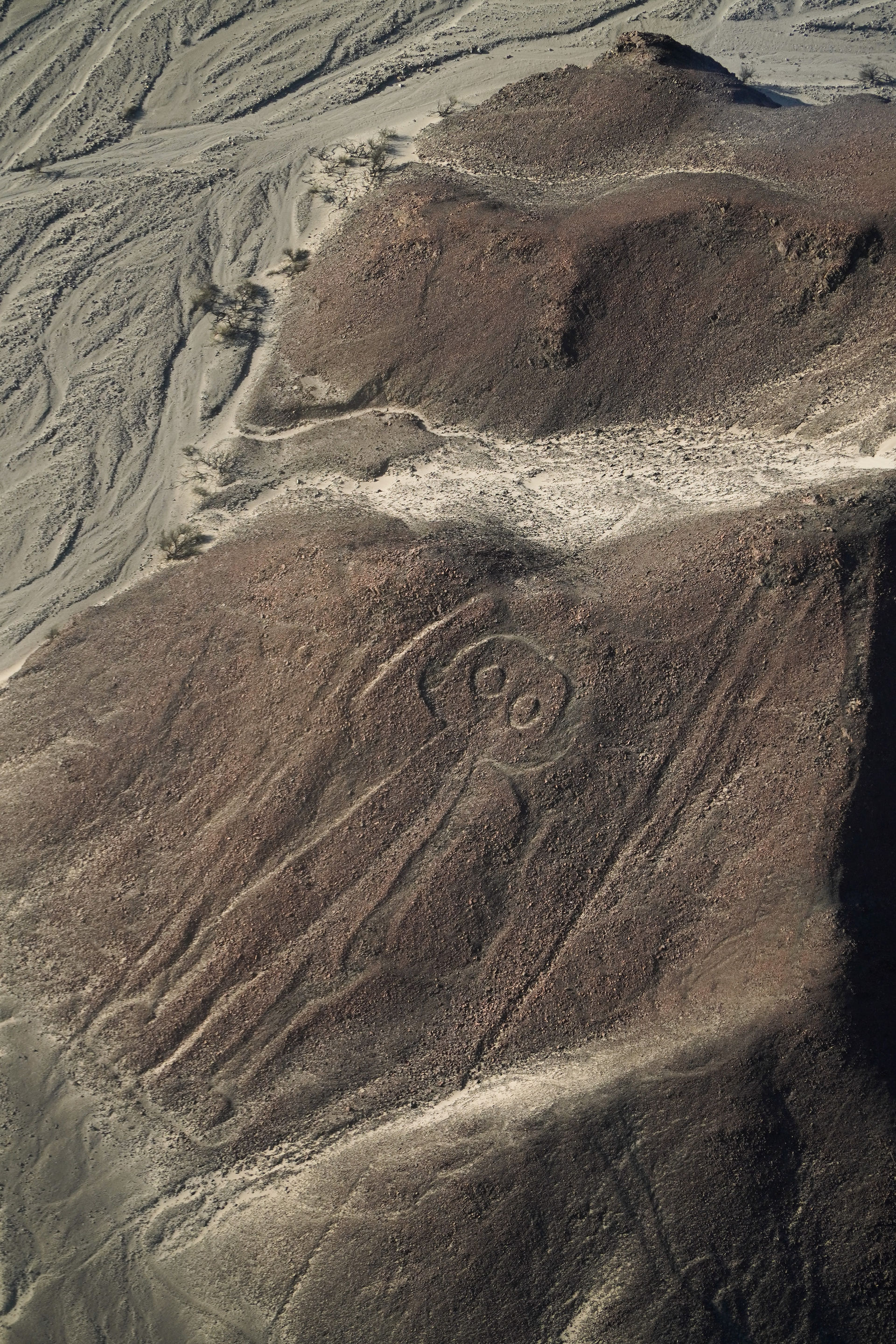 Astronaut, Nazca Lines Photo