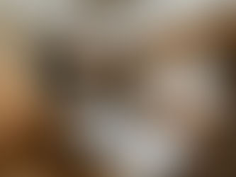 NC Mountains Cabin Bedrom