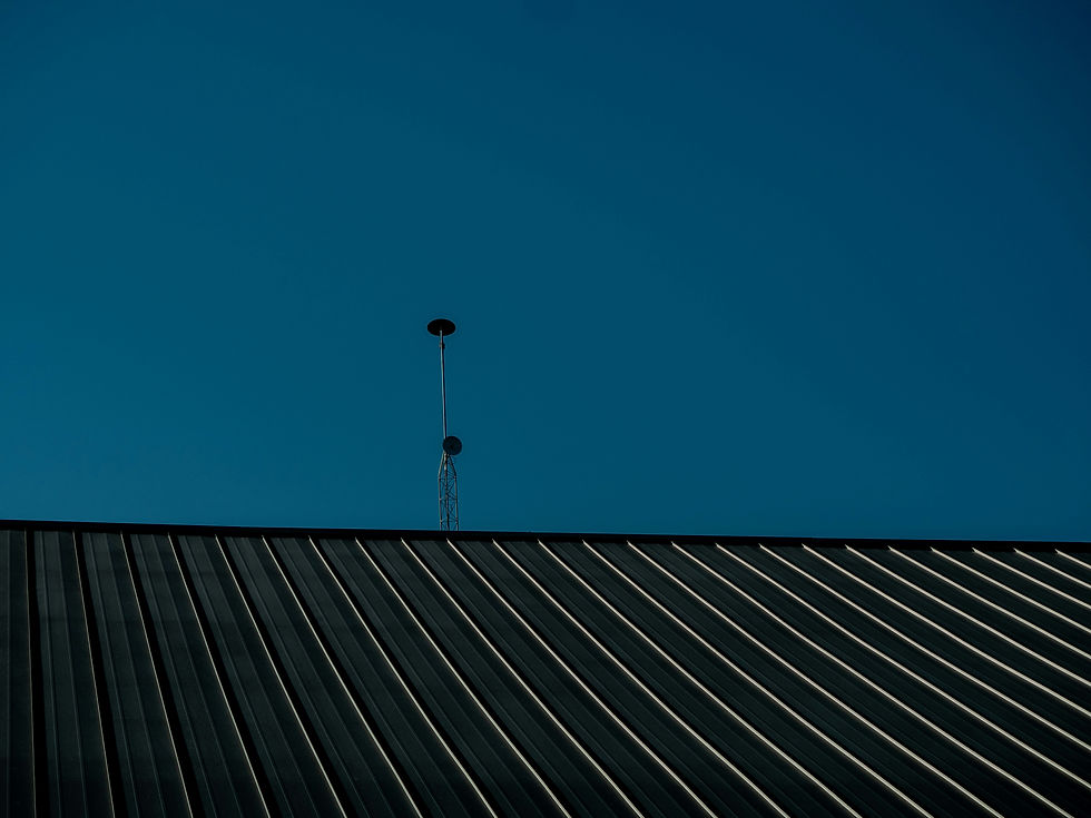 Image by Reneé Thompson