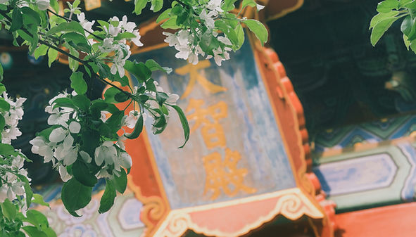 Image by zhang kaiyv