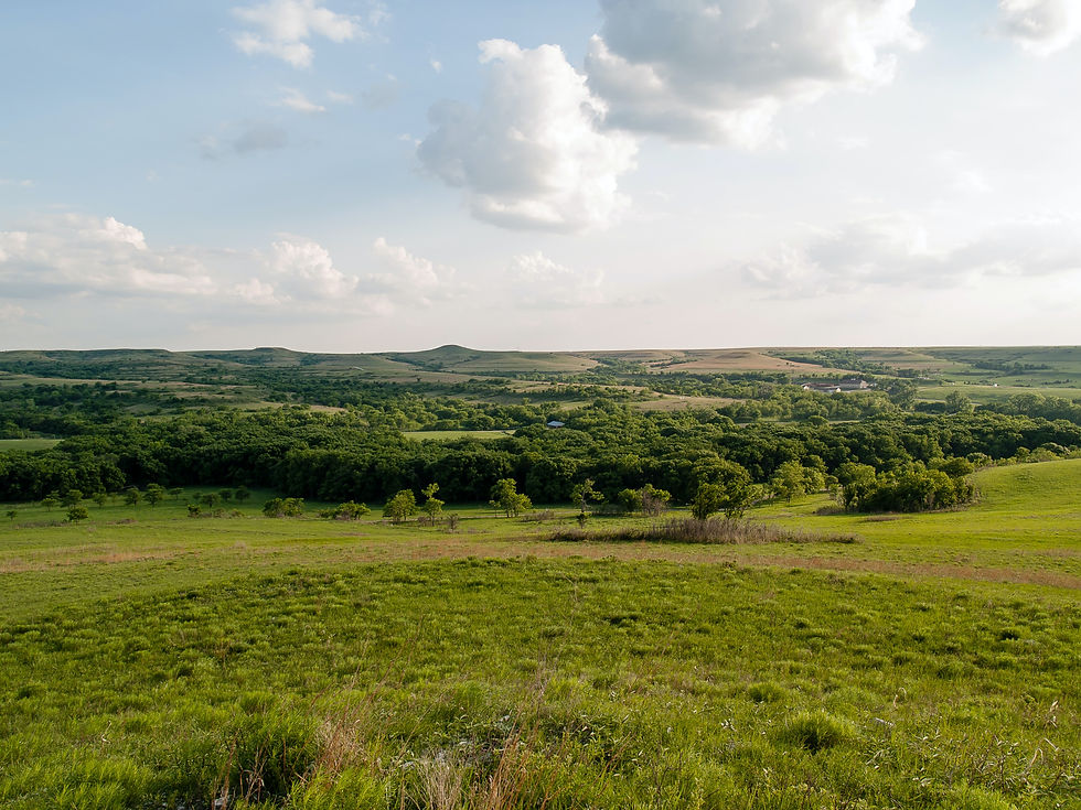 Nature Image