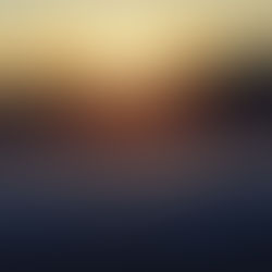 Shadow Maribrengaël -年始のモチベーション-