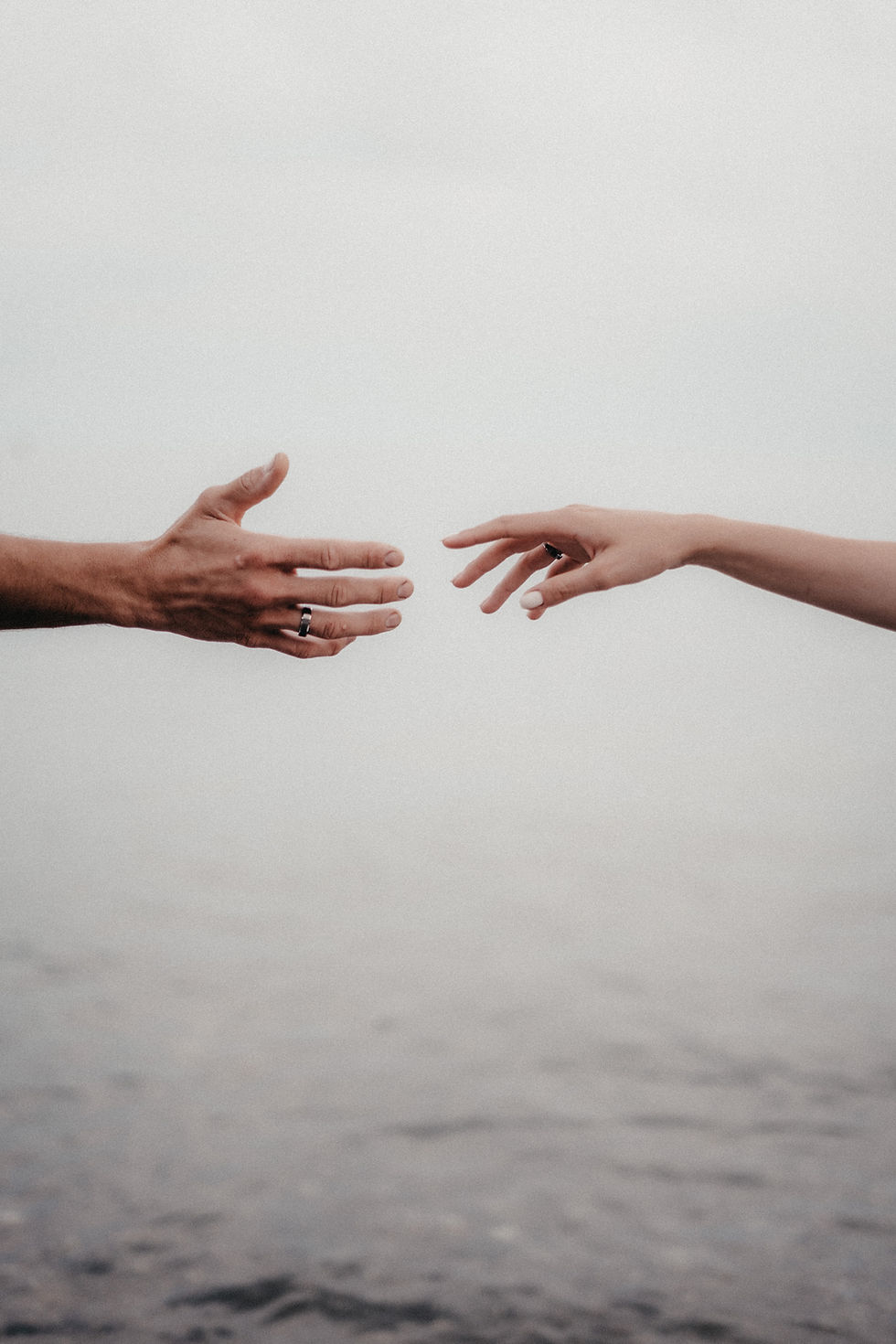 Image by Ellen Volkova