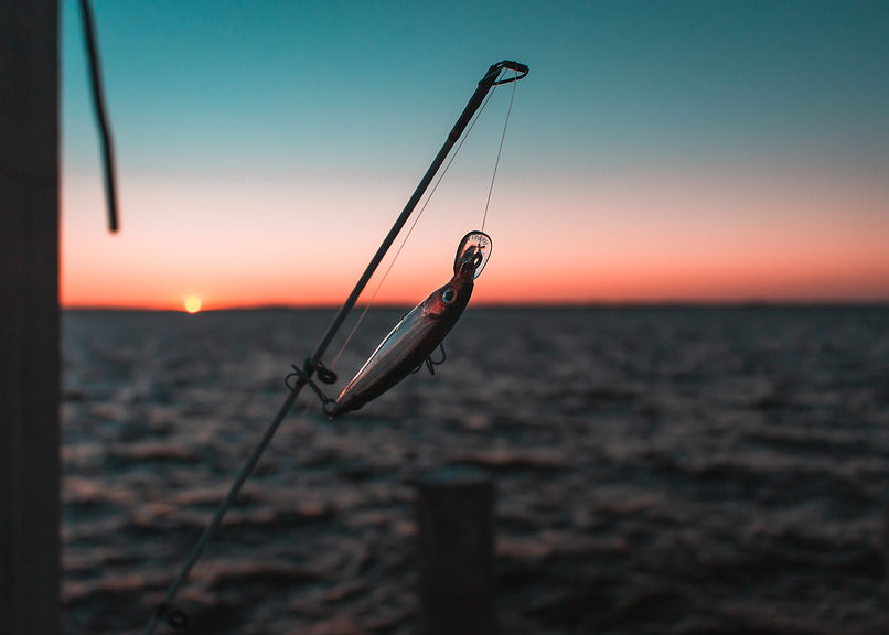 Exciting inshore fishing charters