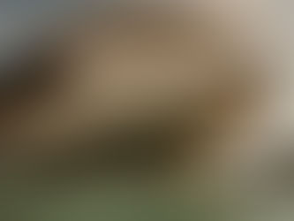 Beyond the Sun: Why Valencia Is One of Spain’s Most Balanced Property Markets