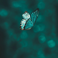 Image de AARN GIRI