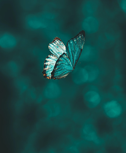 Image by AARN GIRI