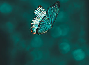 Image by AARN GIRI