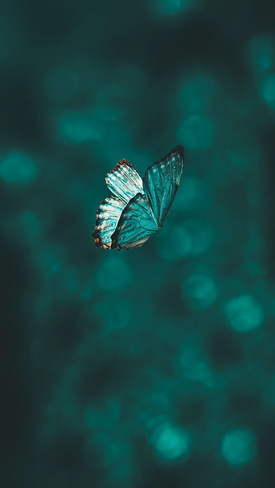 Image de AARN GIRI