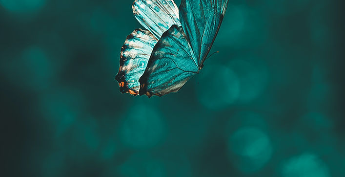Image de AARN GIRI