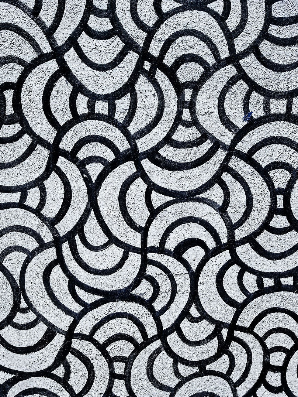 Patterns Design & Decor Series. Shidonna Raven Fashion 