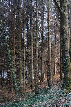 Image by Benjamin Elliott