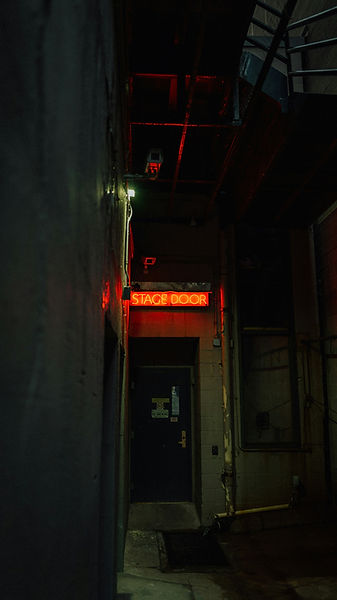 Image by Mario Scheibl