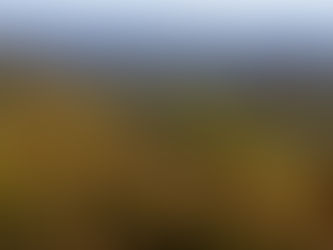 Waynesville NC Blue Ridge Mountains