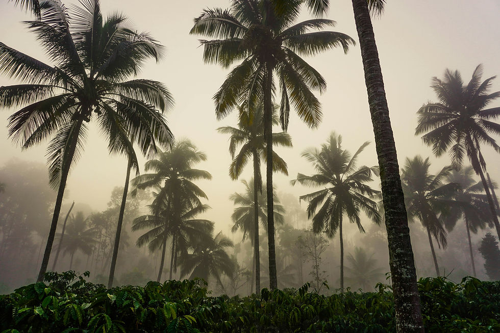 Marrakech pour les amateurs de photographie : spots à capturer au lever du jour
