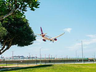 The Impact of Flora on Aerodrome Safety: Beyond Aesthetics
