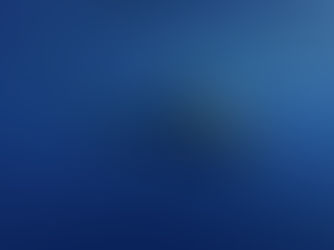 Shark Attacks in Los Angeles (2026 Report)