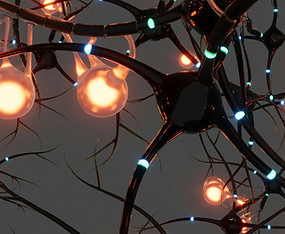 Image de Bhautik Patel