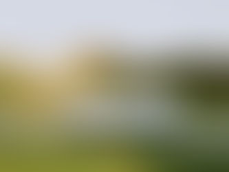 Why Last-Mile Delivery is the Most Critical Part of Logistics (And How to Get it Right)