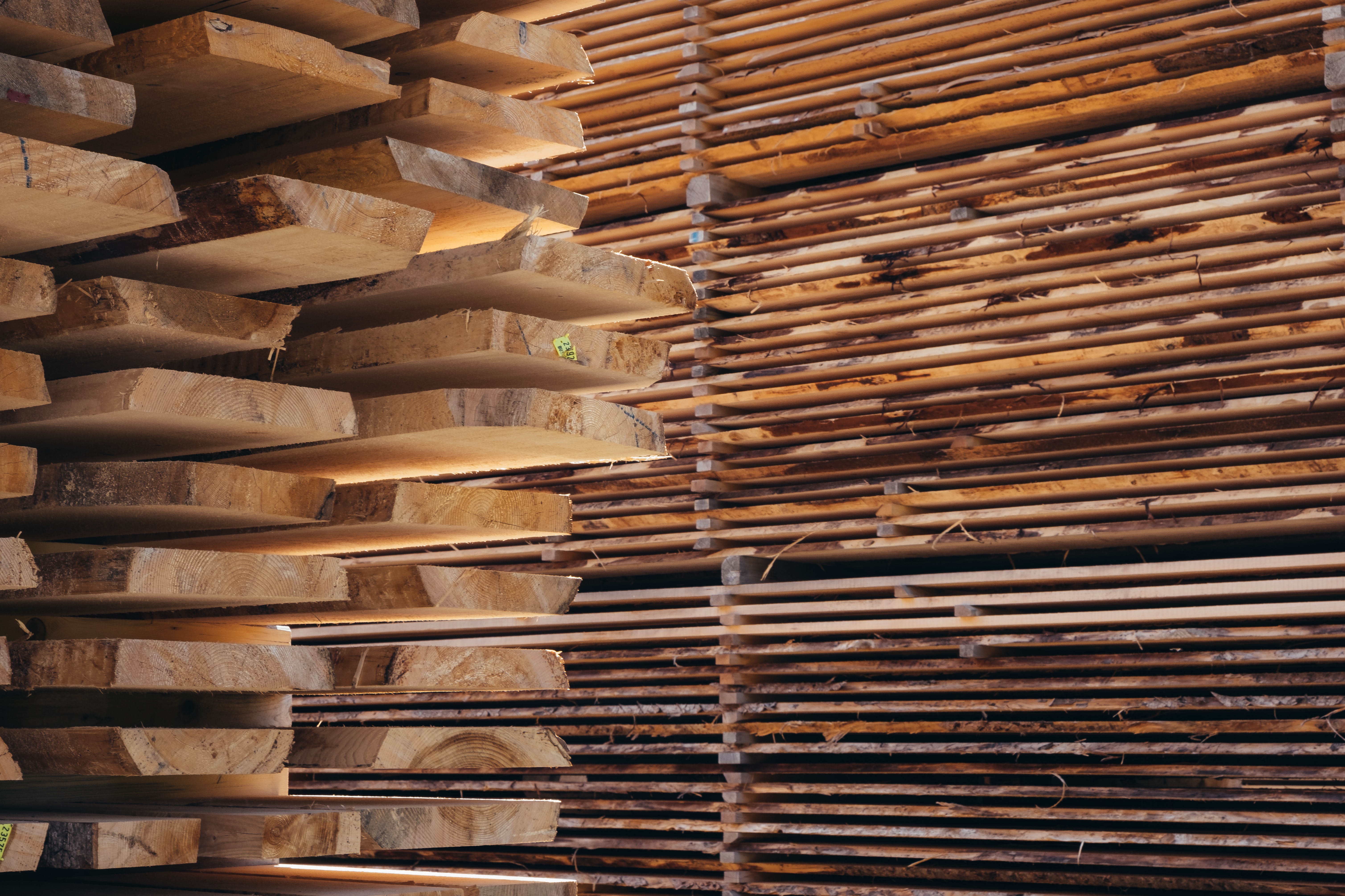 Timber Services Inc - Business Photo