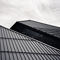 Image by Ryunosuke Kikuno
