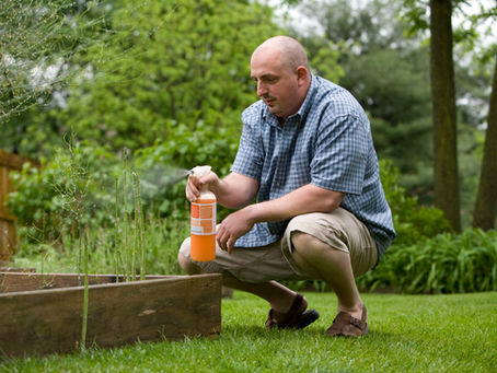 5 Signs You Need Professional Pest Control in San Antonio (Not DIY Sprays)