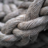Writing Tip: The Narrative Rope