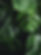 Fort Myers Yoga--Monstera Leaf Nature Space