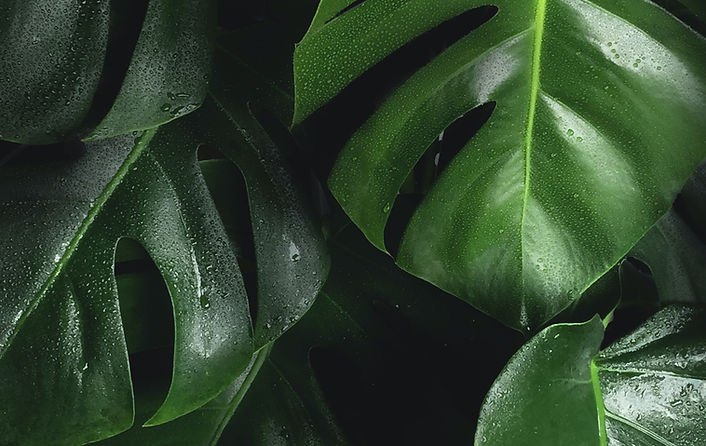 Imagen de Bart Zimny