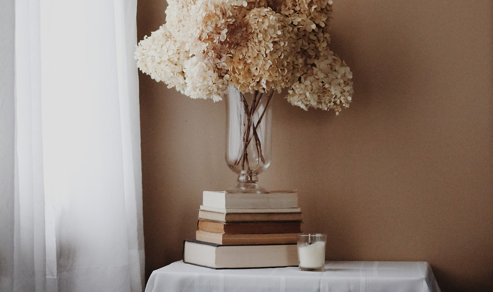 Image by Jessica Mangano