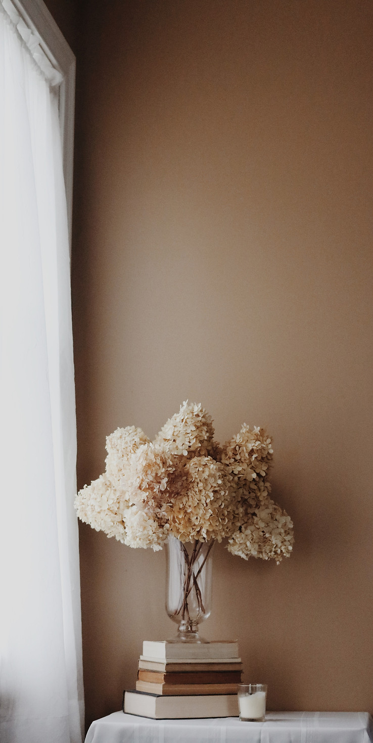 Image by Jessica Mangano