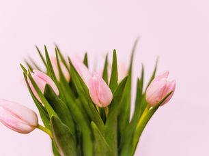 8 Mart Dünya Kadınlar Günü Promosyon Ürünleri | Ege Promosyon ile Kurumsal Çözümler