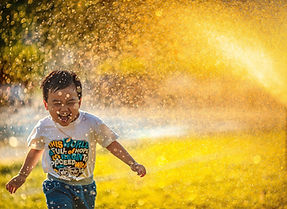 Image by MI PHAM