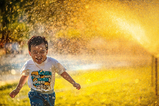 Image by MI PHAM