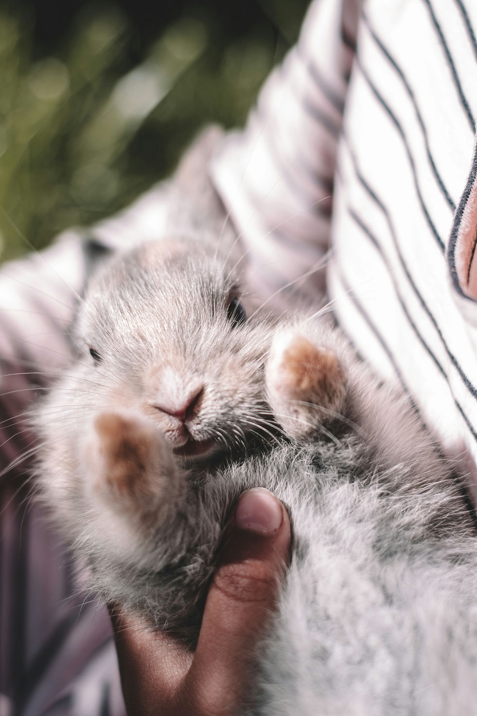Image by Mieke Campbell