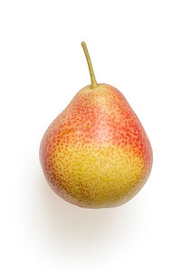 Image de Mockup Graphics