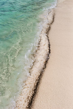Image by Jonathan Borba