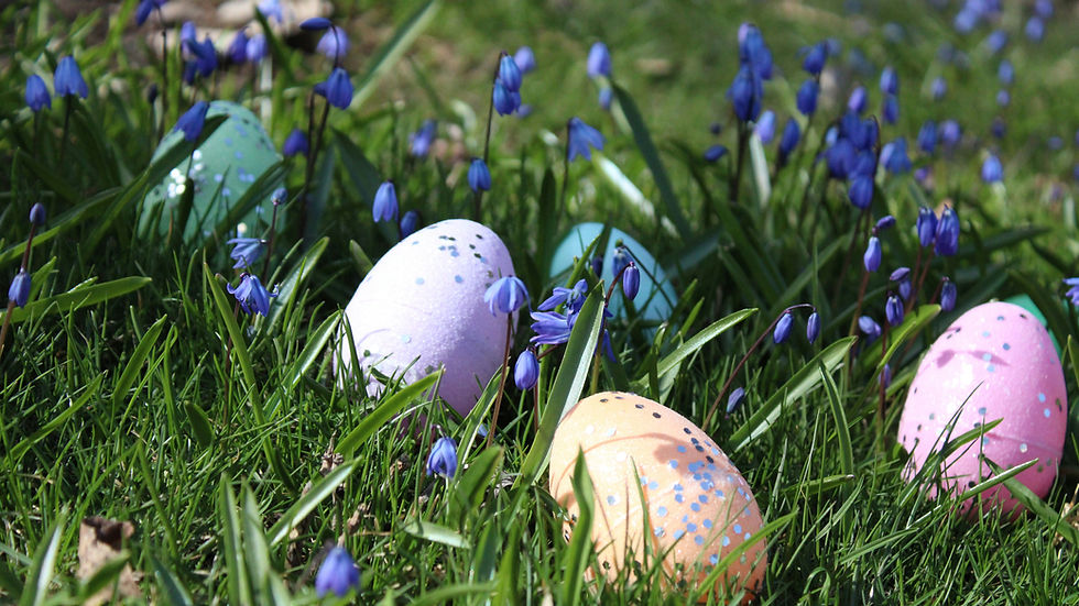 Botanical Therapies - AliStones Botanical in East Lothian