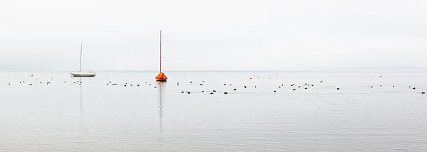 Image by Catherine Avak