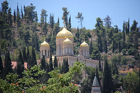 Image by Shalev Cohen