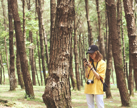 Image by Duc Dao