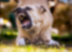 Foto: Unsplash
