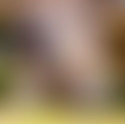 un chien qui montre les crocs