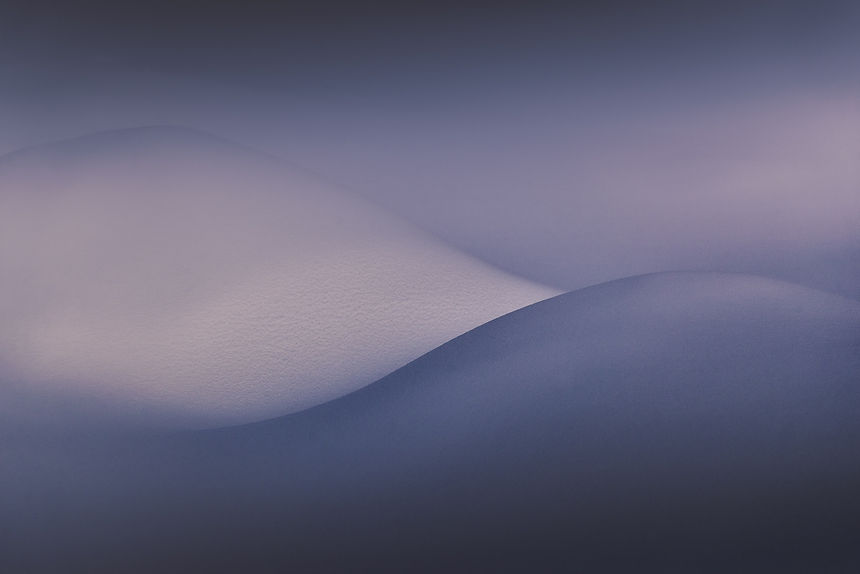 Image by Daniil Silantev
