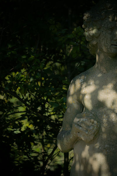 Image by Lucas Calloch